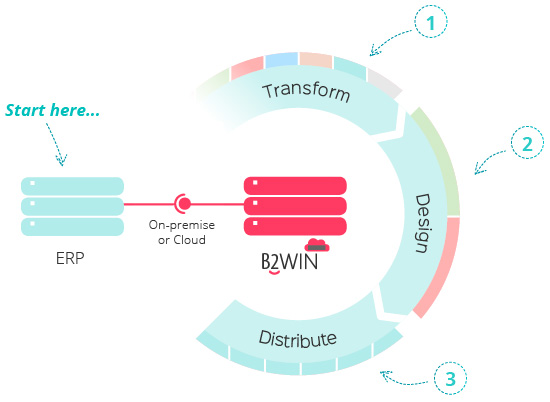 B2Win Infographic, Transform, Design, then Destribute