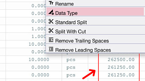 Set Data Type - Excel Designer feature