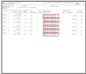 Example for Reports with multi-line data